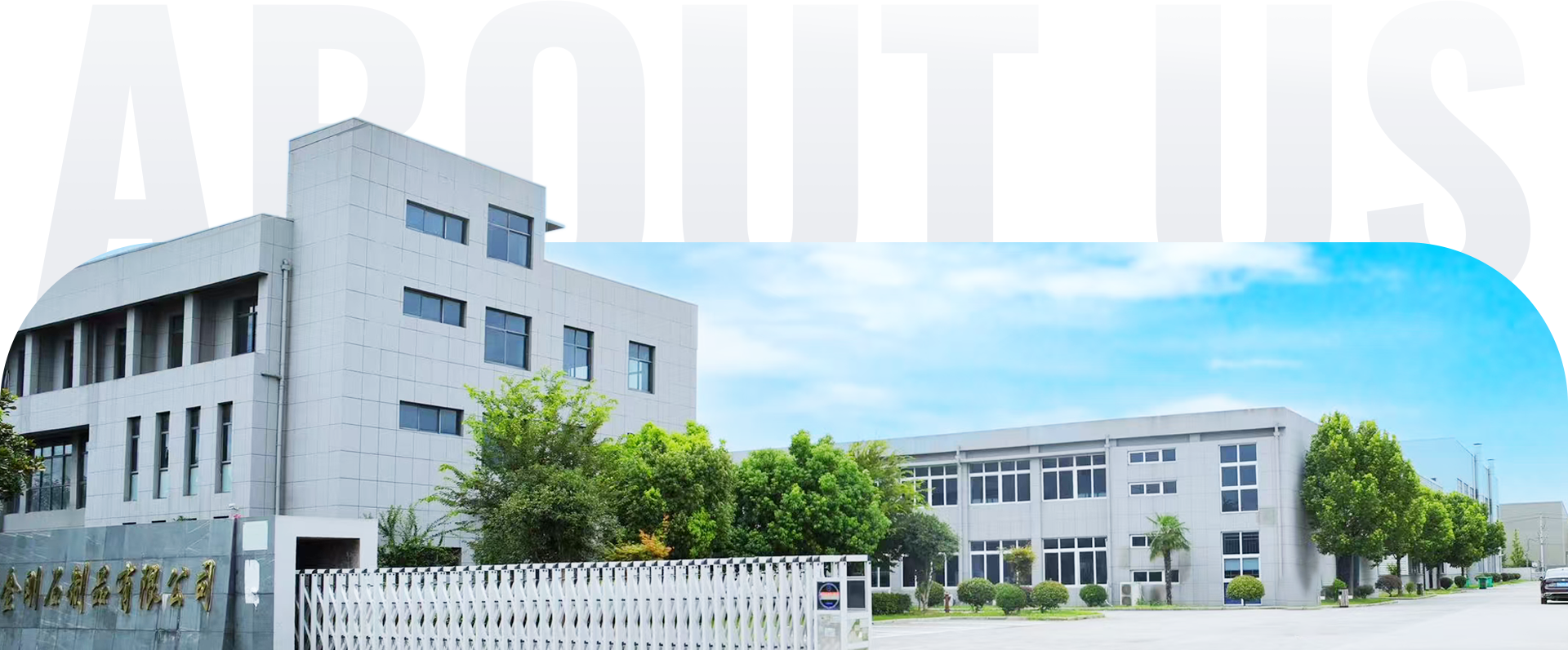 Professional Wire Drawing Dies Manufacturer